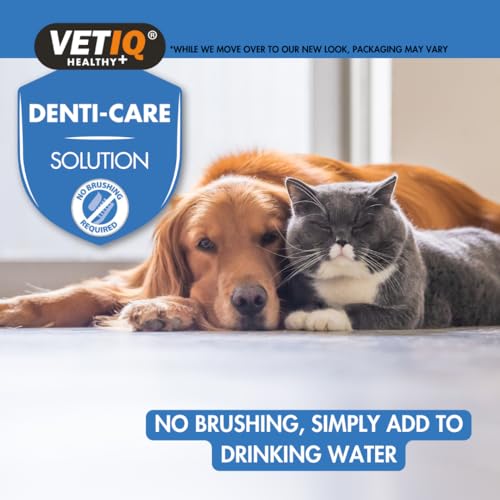 Vetiq Denti Care Diş Bakım Solusyonu 250 Ml
