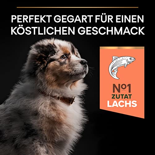 Pro Plan Medium Puppy Somonlu Köpek Maması 12 kg