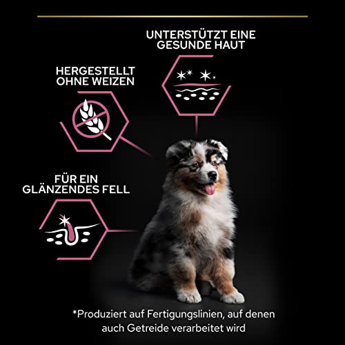 Pro Plan Medium Puppy Somonlu Köpek Maması 12 kg