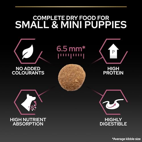 Pro Plan Small & Mini Adult Somonlu Köpek Maması 3 kg