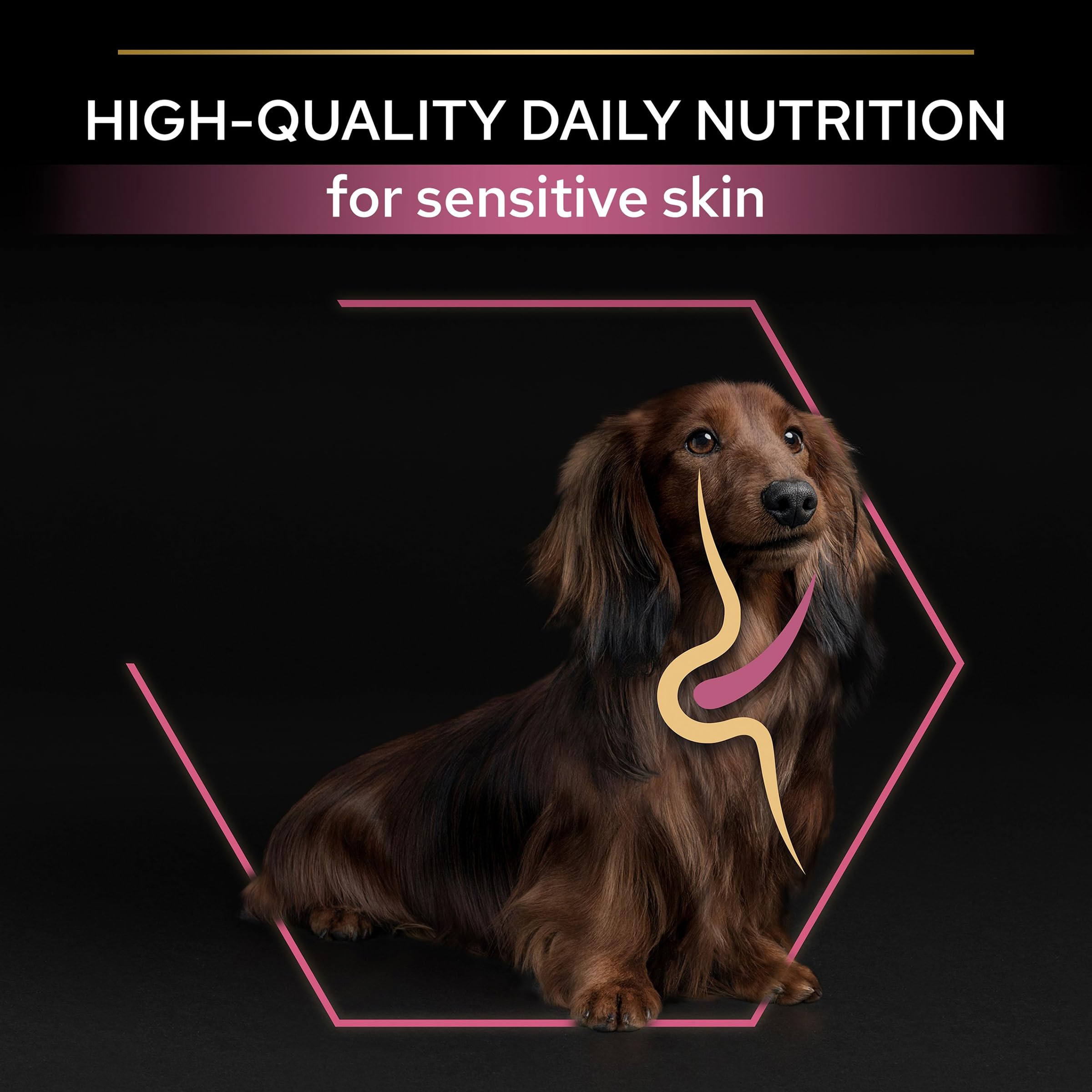 Pro Plan Small & Mini Adult Somonlu Köpek Maması 3 kg