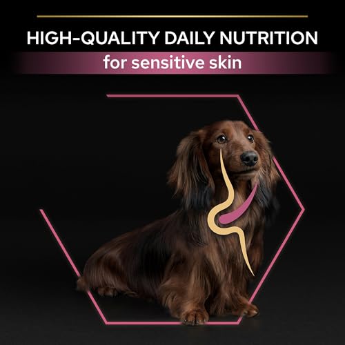 Pro Plan Small & Mini Adult Somonlu Köpek Maması 3 kg