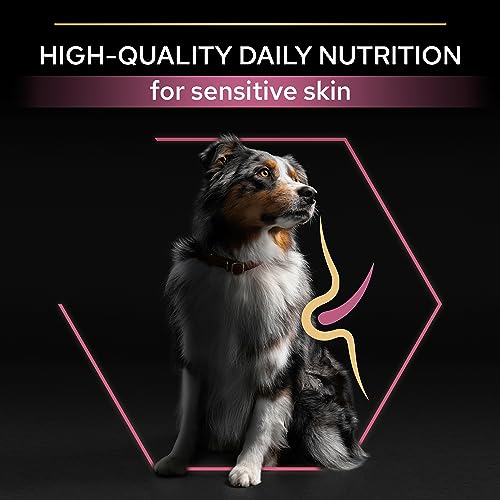 Pro Plan Medium Large Somonlu Kuru Köpek Maması, Yetişkin 7+ Yaş, 14 kg