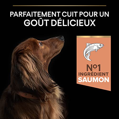 Pro Plan Small&Mini Yetişkin Küçük Irk Köpek Maması Somonlu 7kg