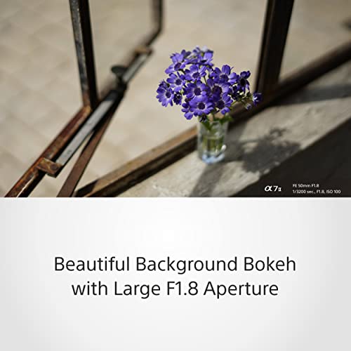 Sony Sel50F18F.SYX Kompakt Sistem Fotoğraf Makinesi Lensi,FE 50mm F1.8 (Sony Eurasia Garantili)