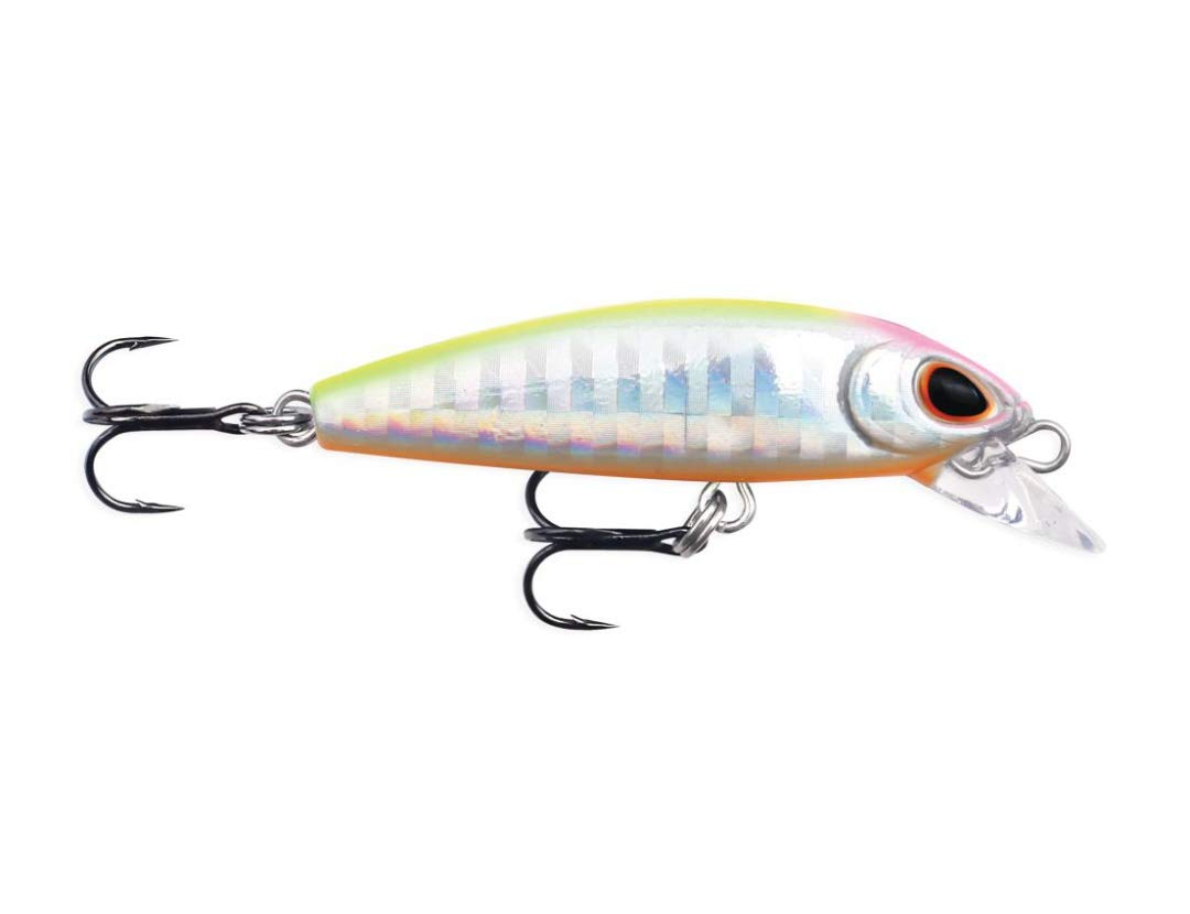 Rapala Dense Sinking Sert Balık, Küçük, Ağır, Spin Avcılığı İçin İdeal, Hızlı Aksiyon, Tüm Sularda E