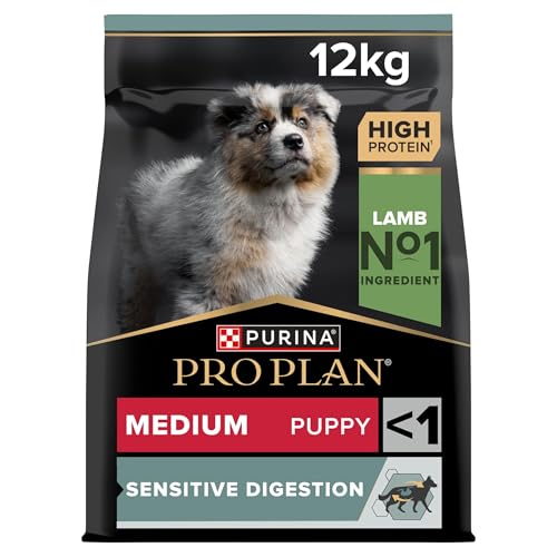 Pro Plan Medium Puppy Kuzu Etli Köpek Maması 12 kg