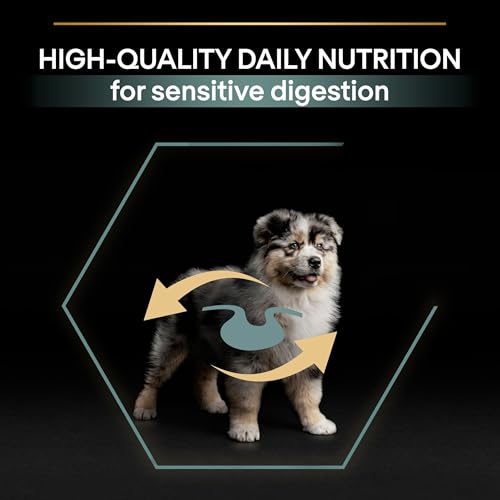Pro Plan Medium Puppy Kuzu Etli Köpek Maması 12 kg