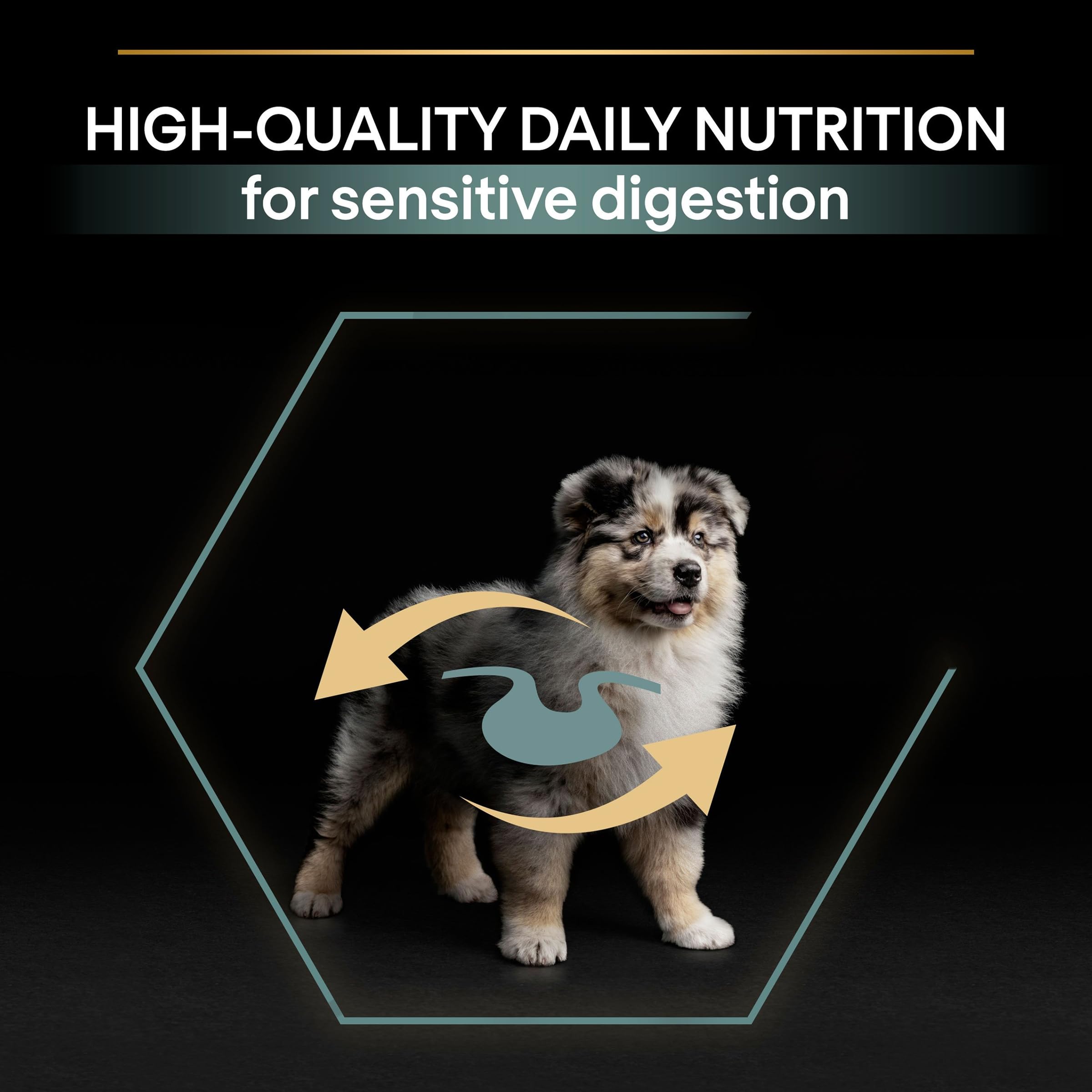Pro Plan Medium Puppy Kuzu Etli Köpek Maması 12 kg