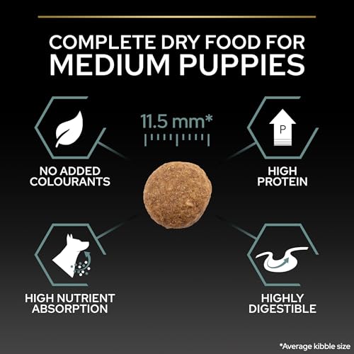 Pro Plan Medium Puppy Kuzu Etli Köpek Maması 12 kg