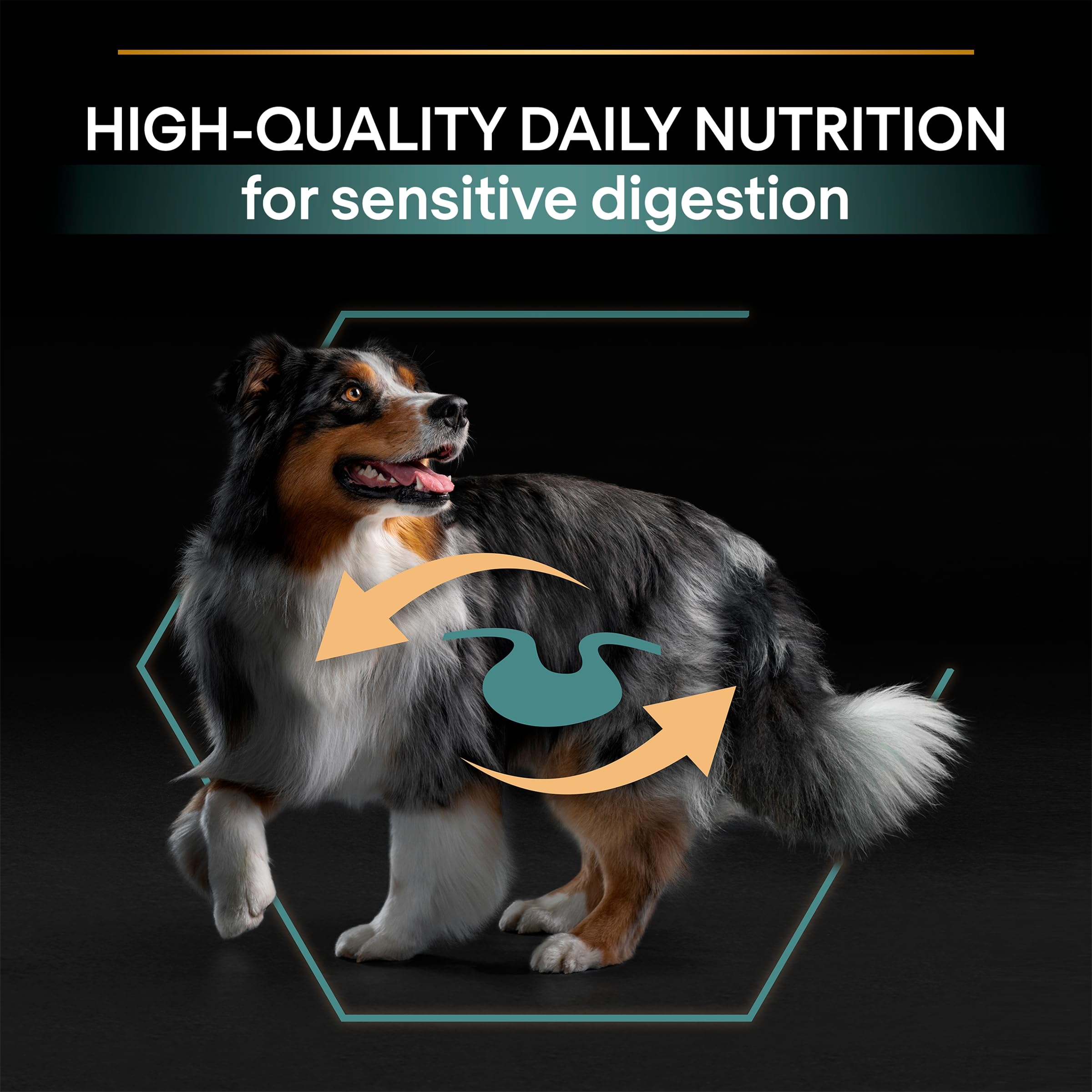 Pro Plan Medium Adult Kuzu Etli Köpek Maması 14 kg