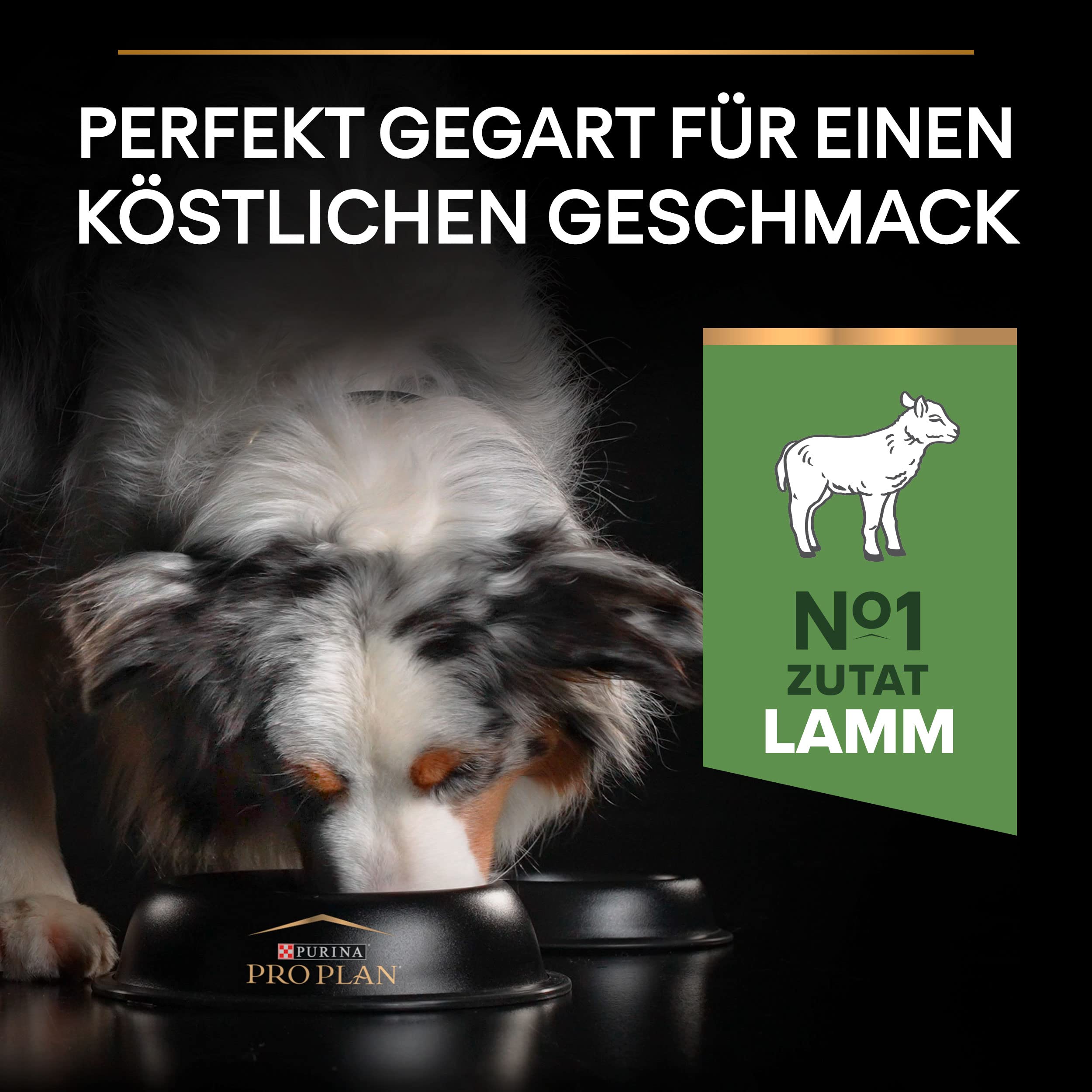 Pro Plan Medium Adult Kuzu Etli Köpek Maması 3 kg