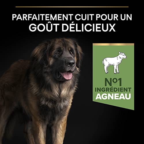 Pro Plan Large Robust Adult Kuzu Etli Köpek Maması 14 kg