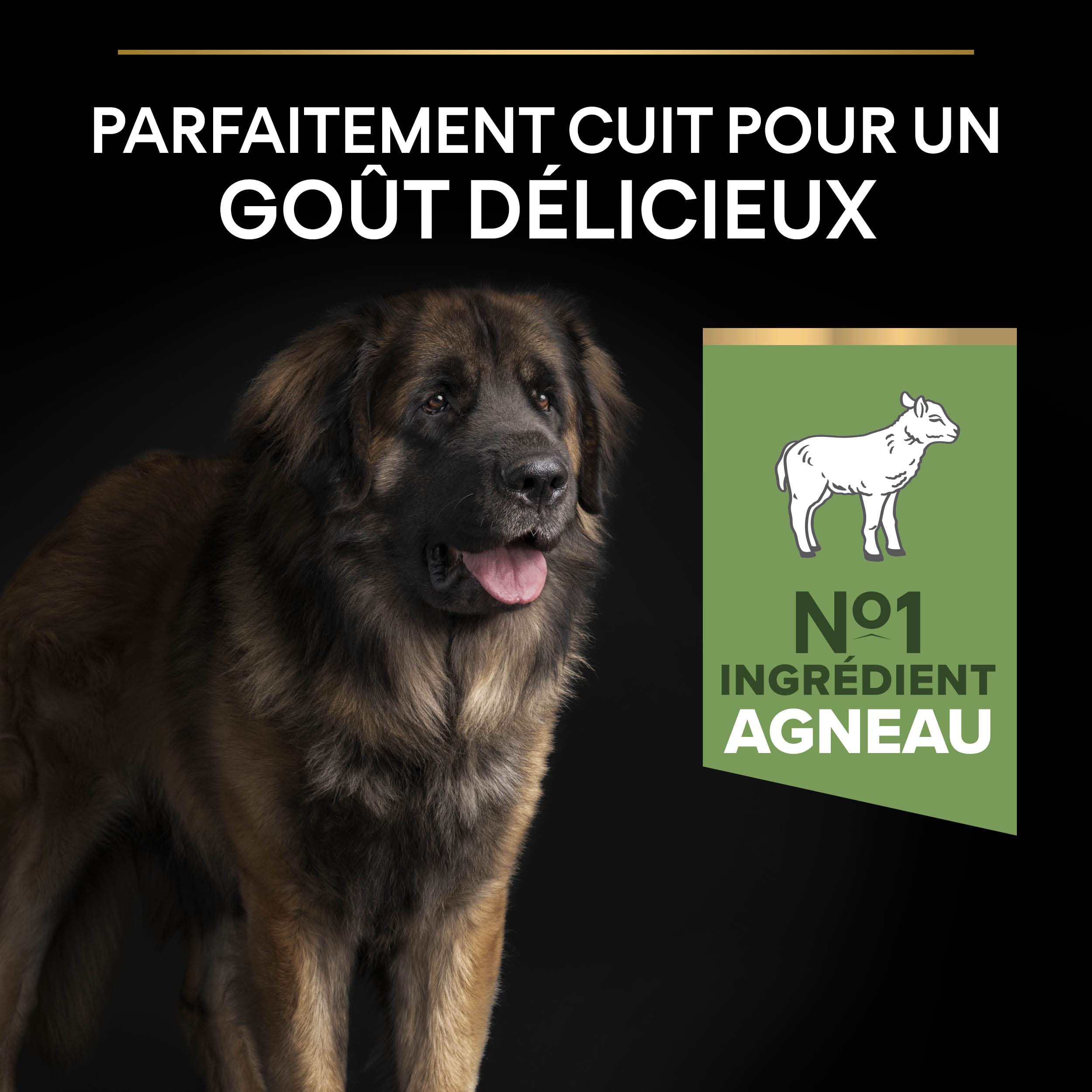 Pro Plan Large Robust Adult Kuzu Etli Köpek Maması 14 kg