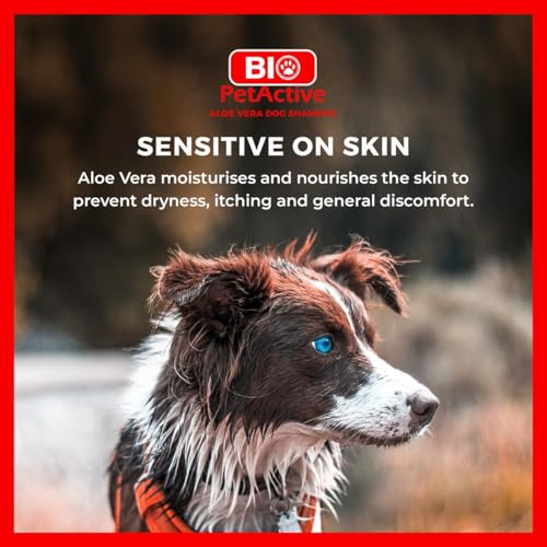 Biopetactive Aloevera Özlü Köpek Şampuanı 400 Ml