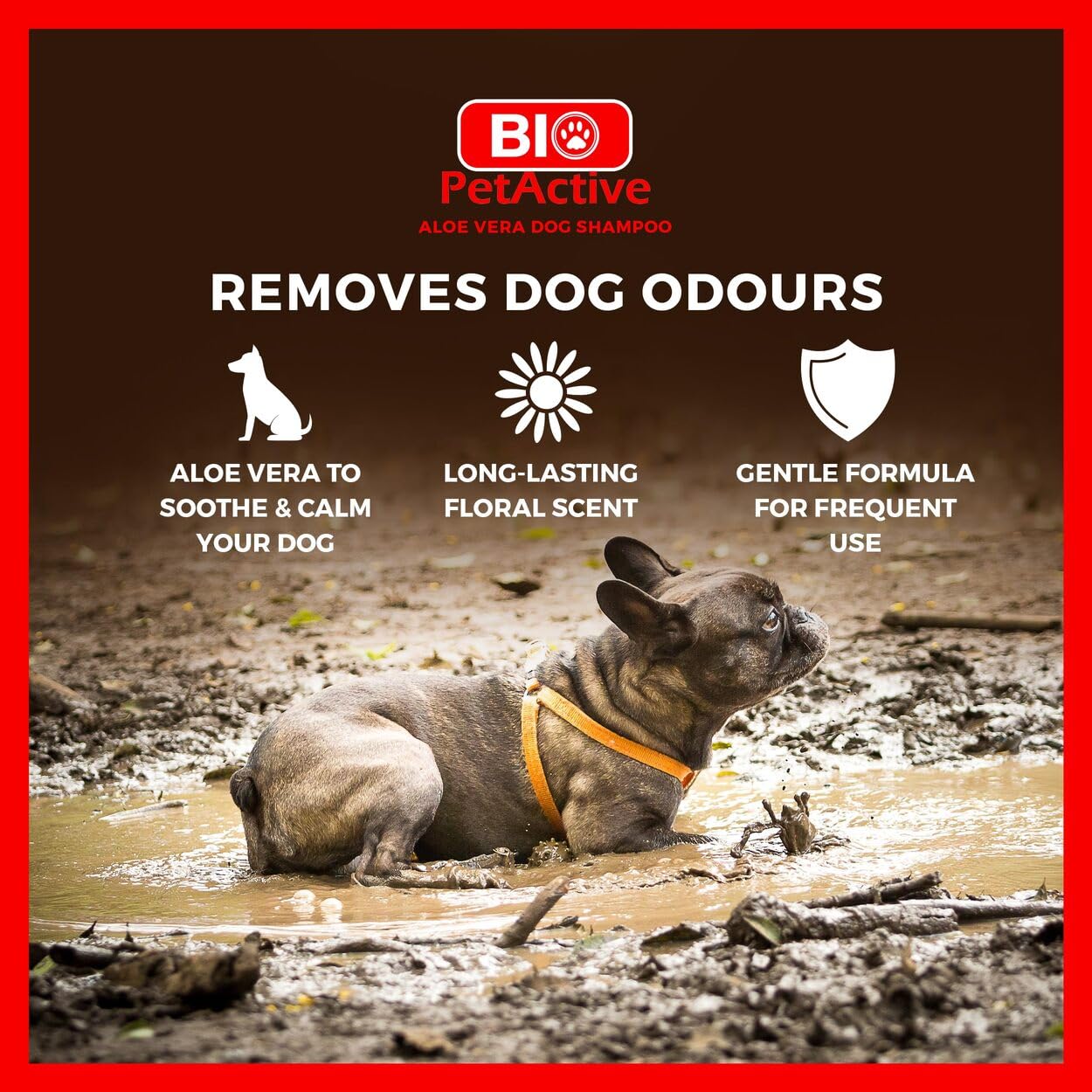 Biopetactive Aloevera Özlü Köpek Şampuanı 400 Ml