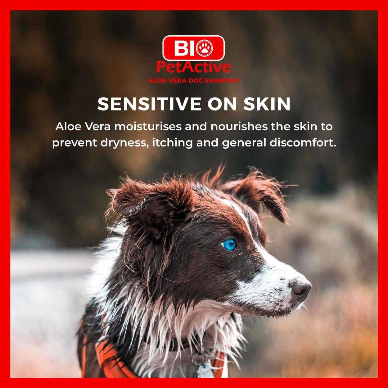 Biopetactive Aloevera Özlü Köpek Şampuanı 400 Ml