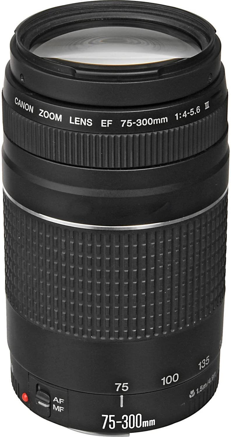 Canon EOS 2000D 18-55mm Is +75-300mm Fotoğraf Makinesi Full HD, Siyah, 2 Yıl (Canon Eurasia Garantili)