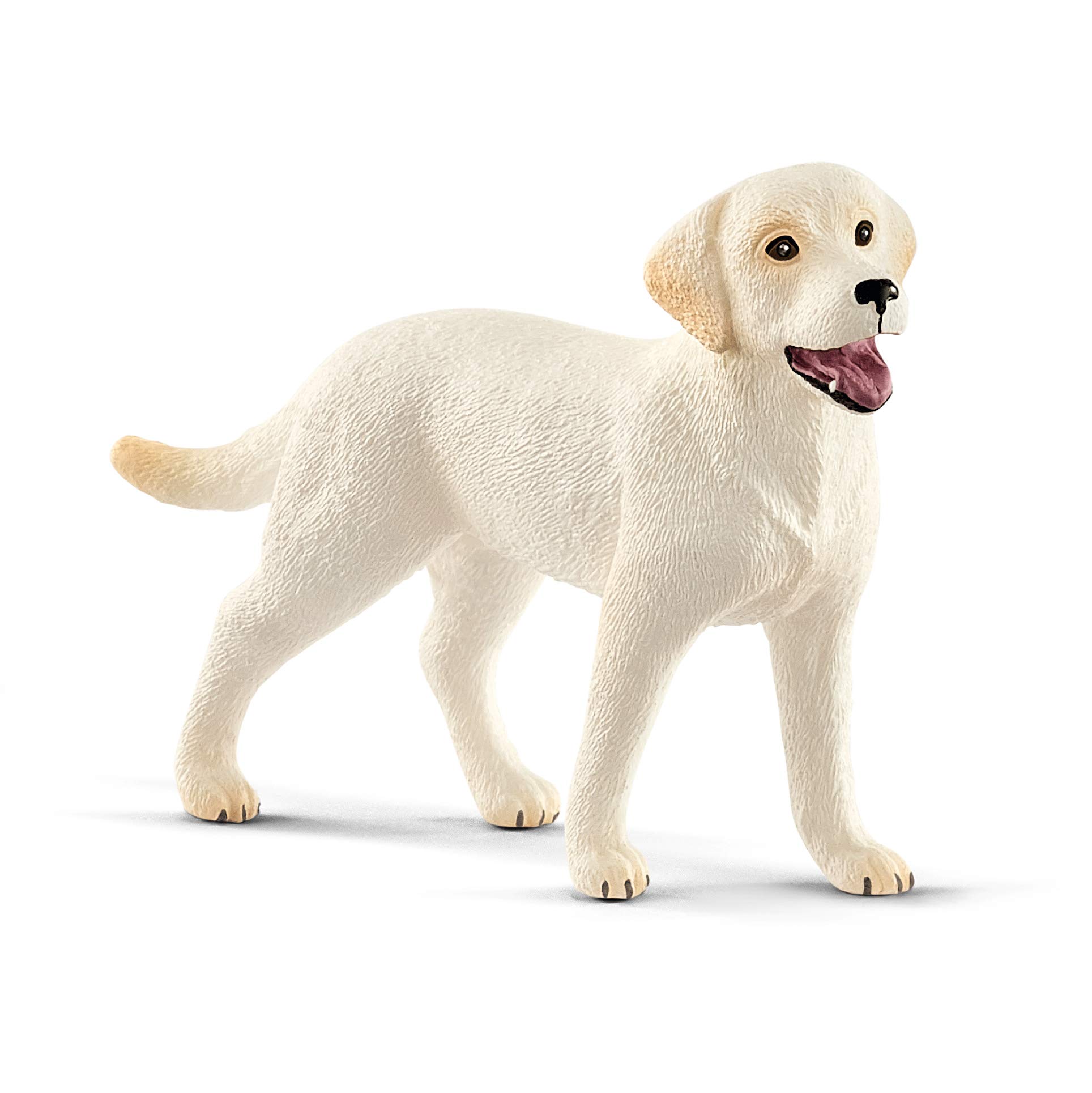 Schleich 42478 Labrador ile Yürüyüş Oyuncak Figürü, Çok Renkli