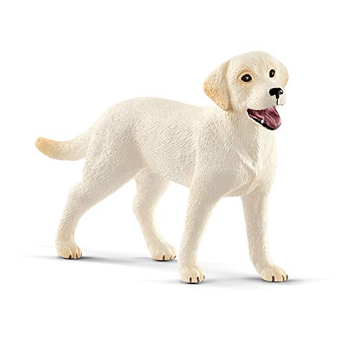 Schleich 42478 Labrador ile Yürüyüş Oyuncak Figürü, Çok Renkli