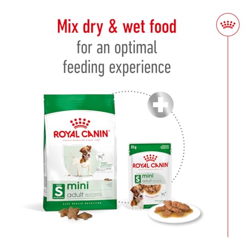 Royal Canin Mini Adult Köpek Maması, Küçük Irk, Yetişkin, 12 x 85 G