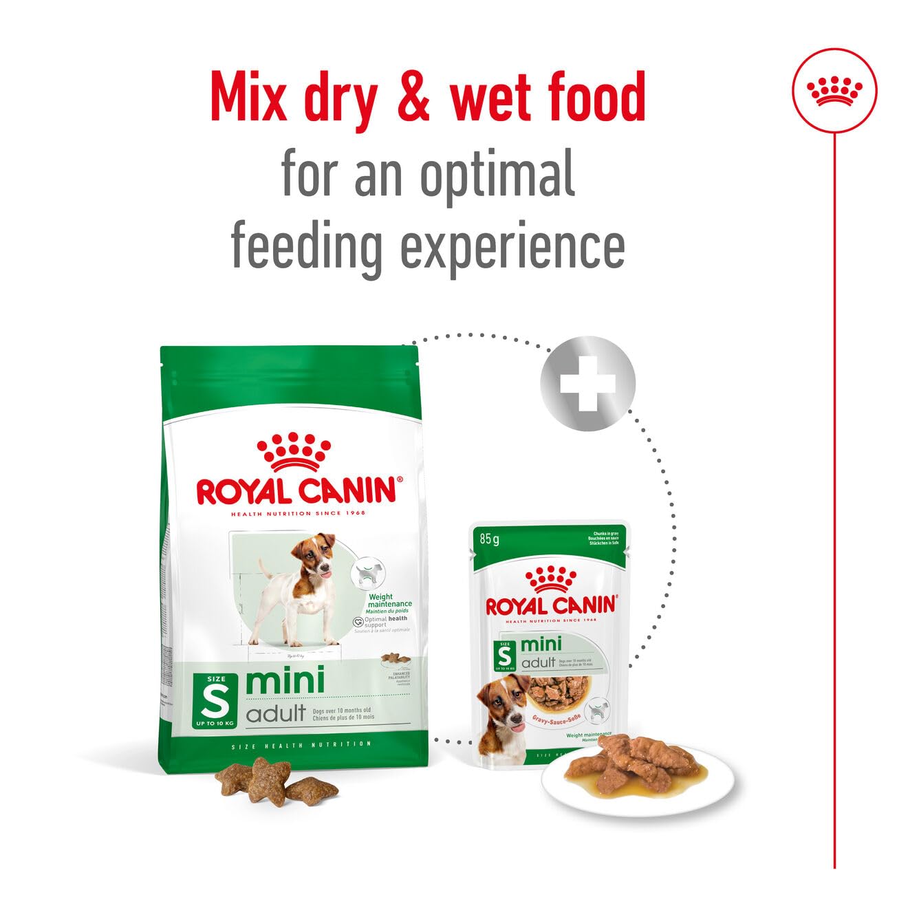 Royal Canin Mini Adult Köpek Maması, Küçük Irk, Yetişkin, 12 x 85 G