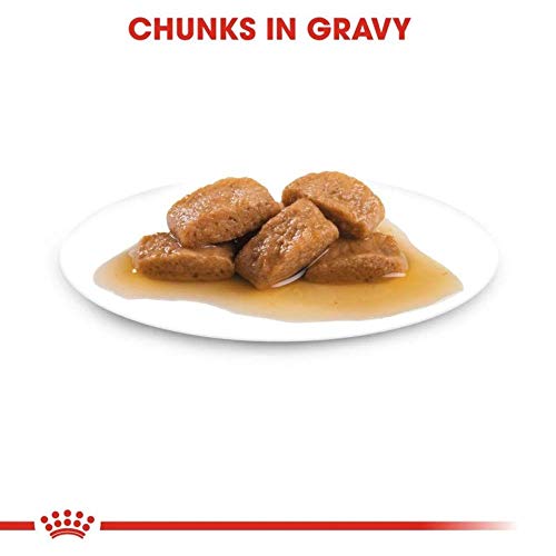 Royal Canin Maxi Adult Gravy Yetişkin Köpek Yaş Maması 140 gr x 10 Adet