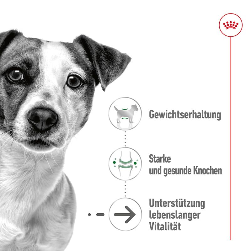 Royal Canin Mini Ageing Küçük Irk Yaşlı Köpek Konservesi +12 Yaş 85 Gr X 12 Adet
