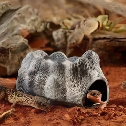 Exo Terra Wet Rock, seramik mağara, sürüngenler, amfibiler ve omurgasızlar için nemli saklama yeri, su rezervuarlı, nem depolamak için seramik mağan, büyük
