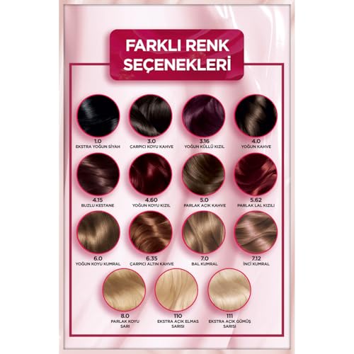 Garnier Çarpıcı Renkler Yoğun Kalıcı Saç Boyası No 4.15 Buzlu Kestane