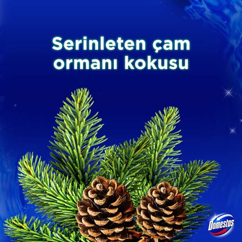 Domestos WC Blok 5'li Güç Çam Ferahlığı 600 Sifona Kadar Güçlü Temizlik 110 gr İkili Paket