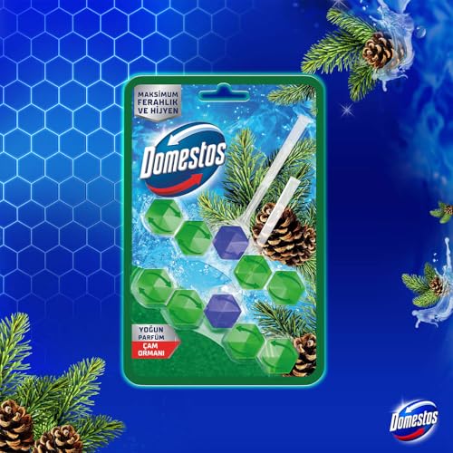 Domestos WC Blok 5'li Güç Çam Ferahlığı 600 Sifona Kadar Güçlü Temizlik 110 gr İkili Paket