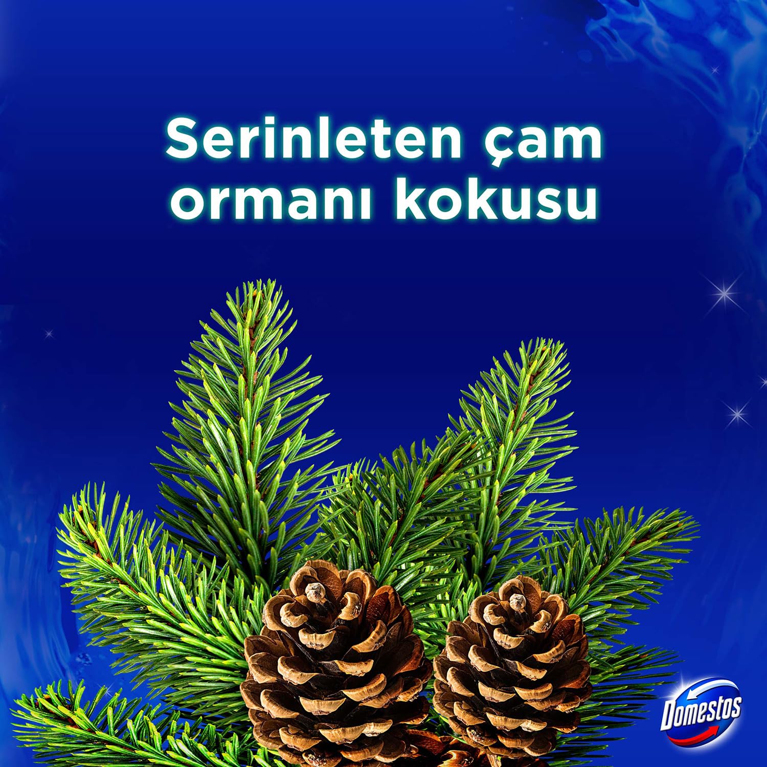 Domestos WC Blok 5'li Güç Çam Ferahlığı 600 Sifona Kadar Güçlü Temizlik 110 gr İkili Paket