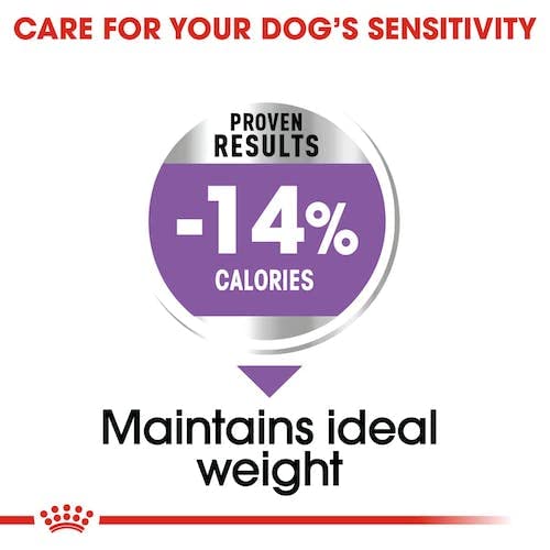 Royal Canin Ccn Mini Sterilised 3 Kg Köpek Maması