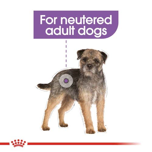 Royal Canin Ccn Mini Sterilised 3 Kg Köpek Maması
