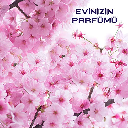 Bingo Fresh Pembe Düşler Yüzey Temizleyici (1 x 2500 mL)