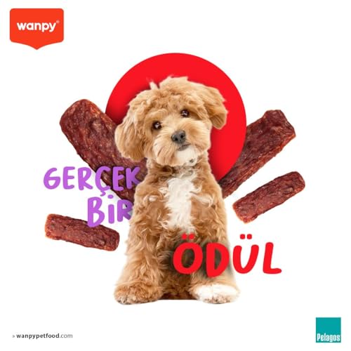 Wanpy Oven Roasted Gerçek Ördek Fileto 100 g Köpek Ödülü, Küçük Köpekler