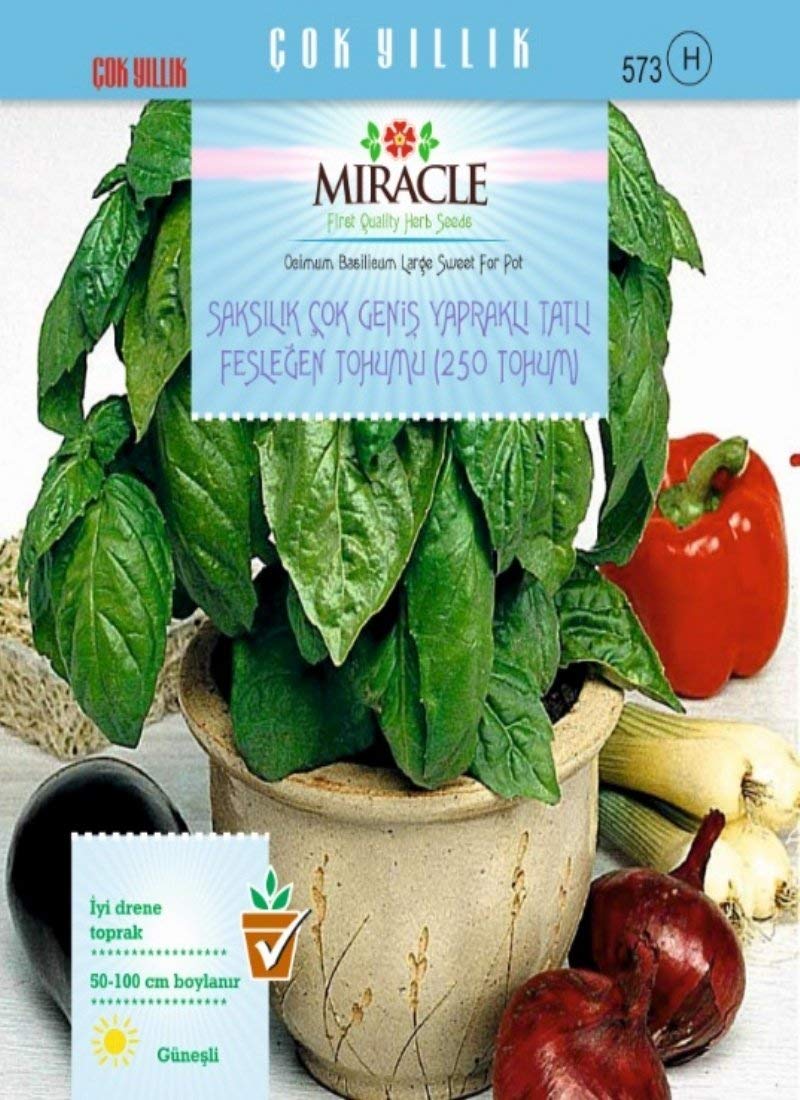Miracle Tohum Saksılık Çok Geniş Yapraklı Tatlı Fesleğen Tohumu(250