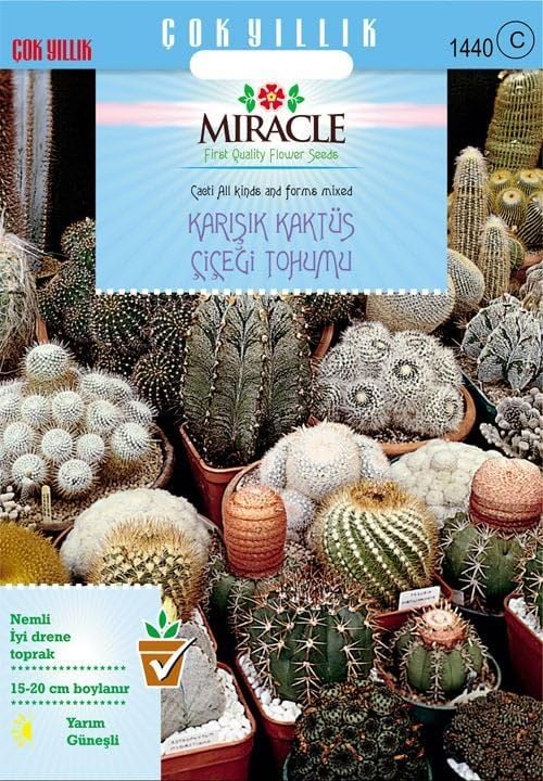 Miracle Tohum Karışık Kaktüs Bitkileri Çiçeği (100 tohum)