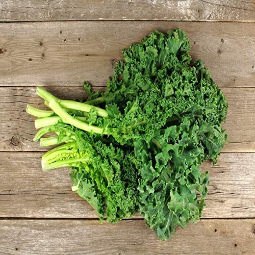 İdeaBahçe Haşlamalık Siberian Kale Tohumu (50 tohum)