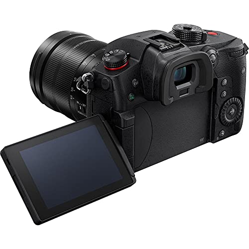 PANASONIC LUMIX GH5 Mark II Noir + 12-60 f/2.8-4