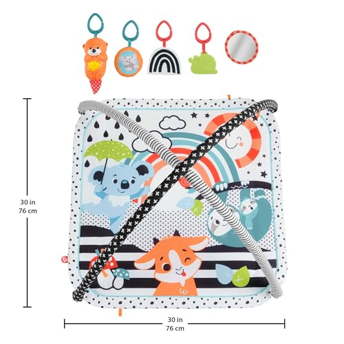 Fisher-Price Neşeli Hayvanlar 3'ü 1 Arada Jimnastik Merkezi™ Fisher-Price Neşeli Hayvanlar 3'ü 1 Ara