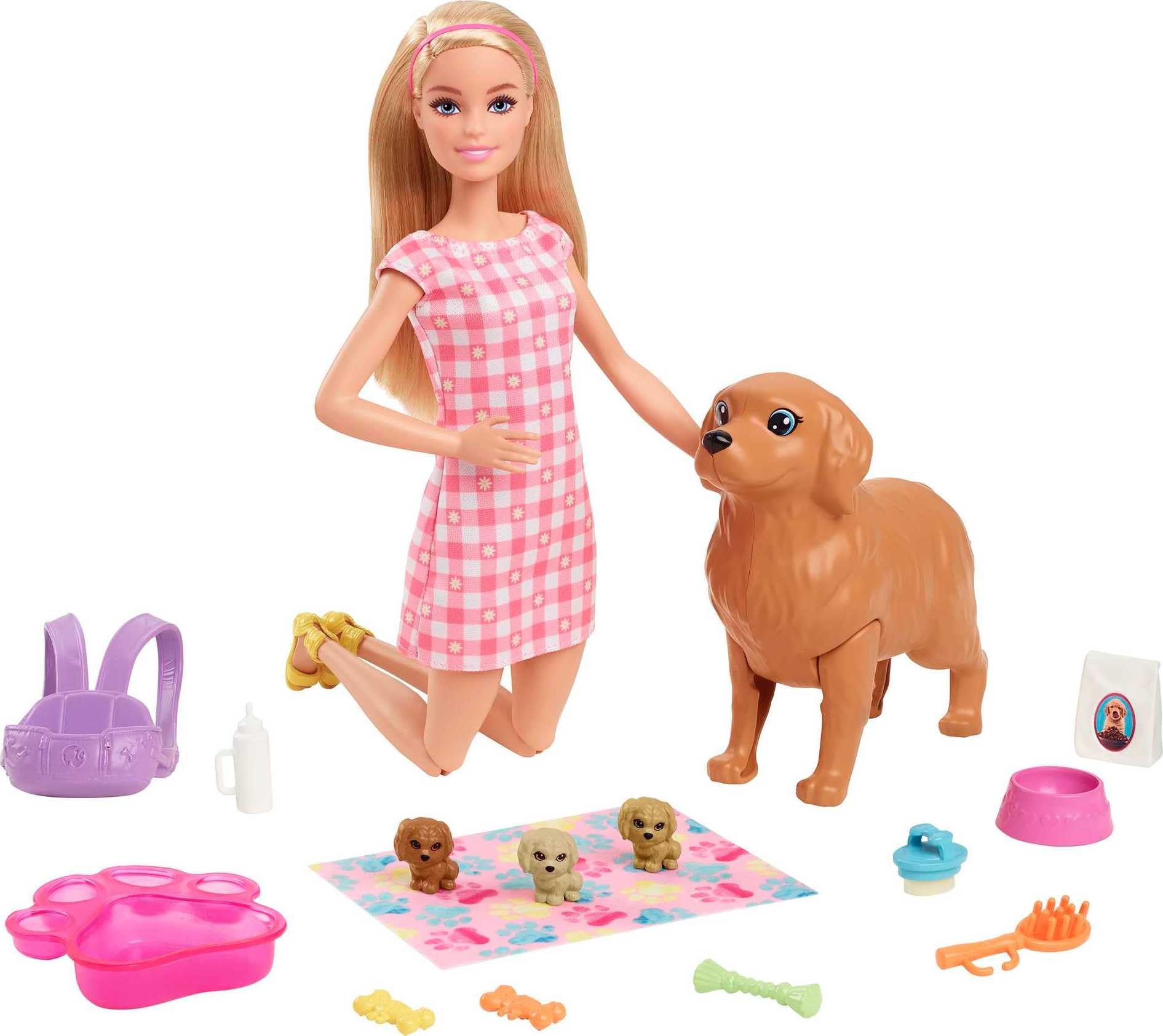 Barbie ve Hayvan Dostları Barbie ve Hayvan Dostları Oyun Seti, köpek, 3 yavru köpek ve aksesuarlar, 3-7 yaş HCK75