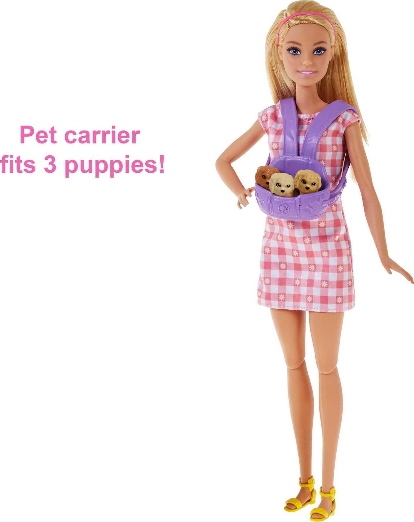 Barbie ve Hayvan Dostları Barbie ve Hayvan Dostları Oyun Seti, köpek, 3 yavru köpek ve aksesuarlar, 3-7 yaş HCK75