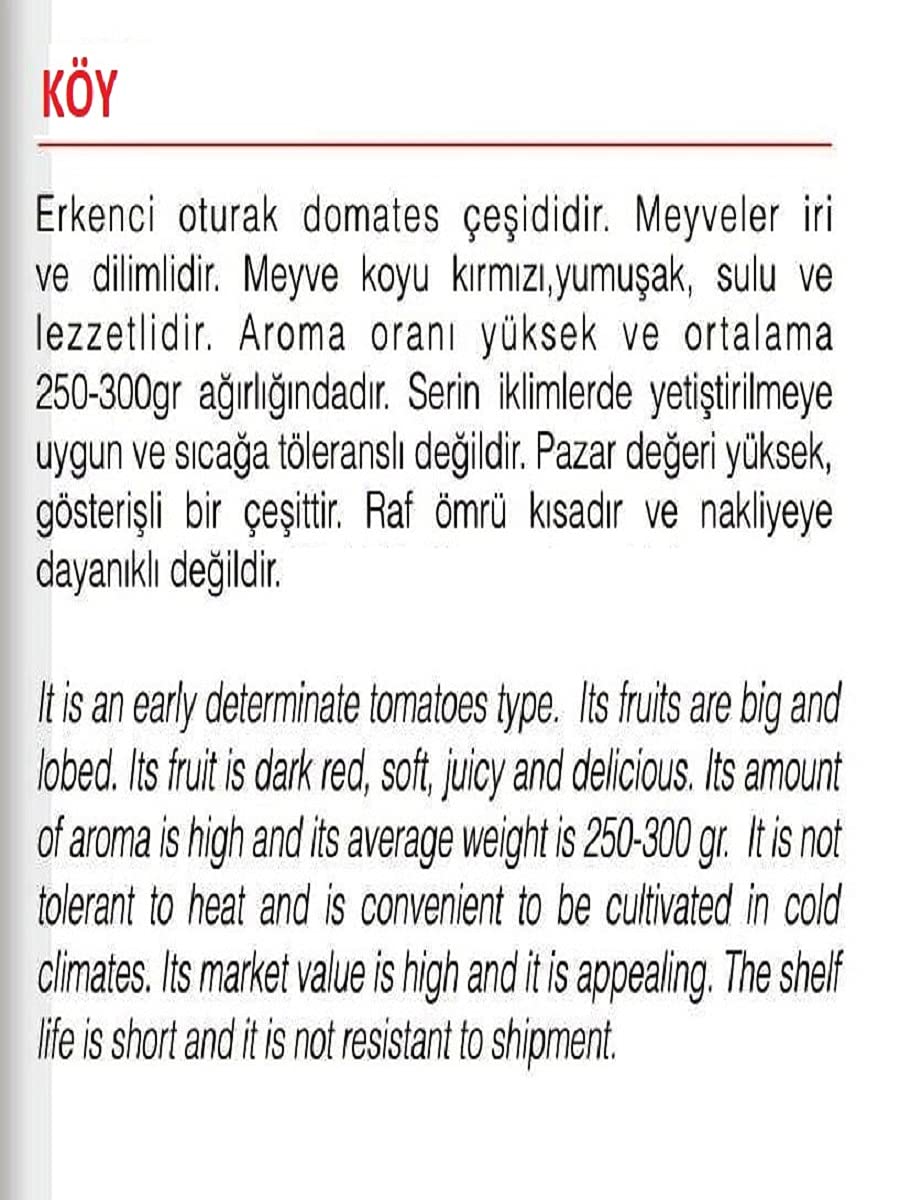 AGRODAL TARIM Ata Tohumu Yerli Doğal Köy Domatesi 1000 Adet Tohum