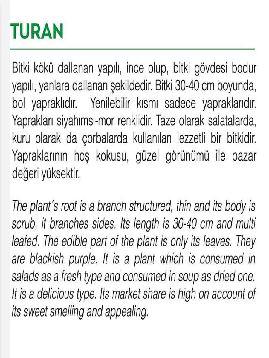 AGRODAL TARIM Ata Tohumu Yerli Mor Reyhan Turan 1000 Adet Tohum