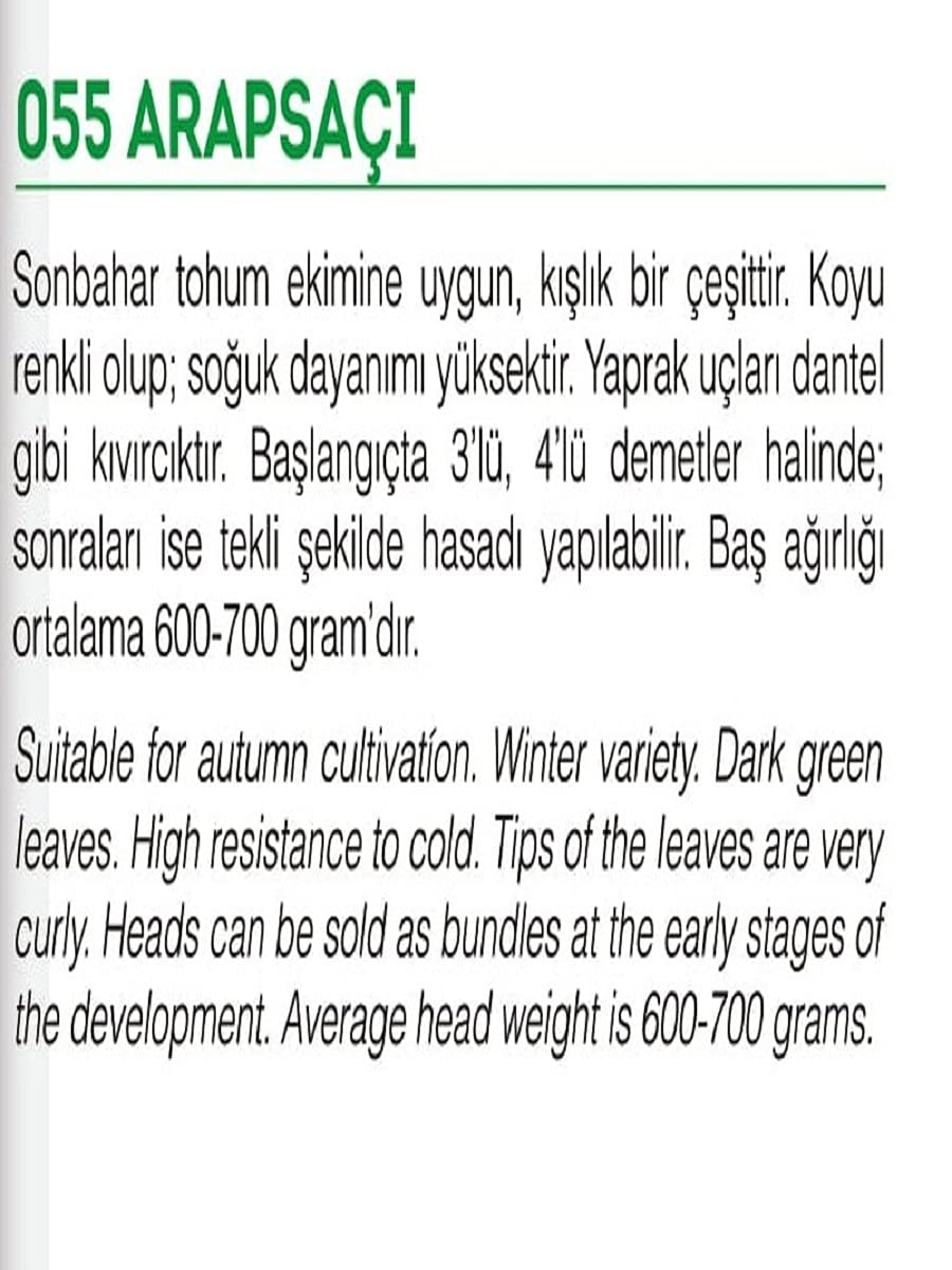 AGRODAL TARIM Ata Tohumu Yerli Marul Arapsaçı 1000 Adet Tohum