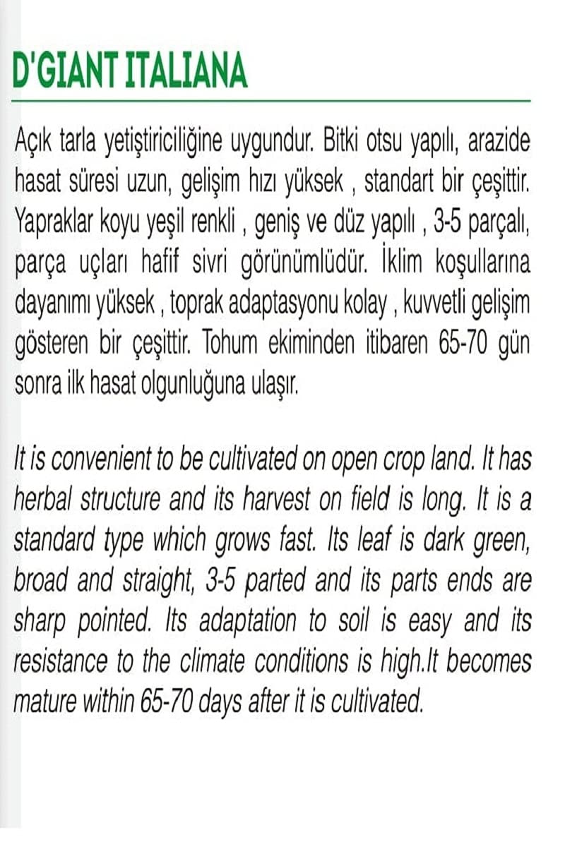AGRODAL TARIM Ata Tohumu Yerli Maydanoz 2500 Tohum