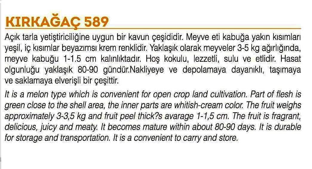 Agrodal Tarım Ata Tohumu Yerli Doğal Kavun Kırkağaç-589 Tip 100 Adet Tohum