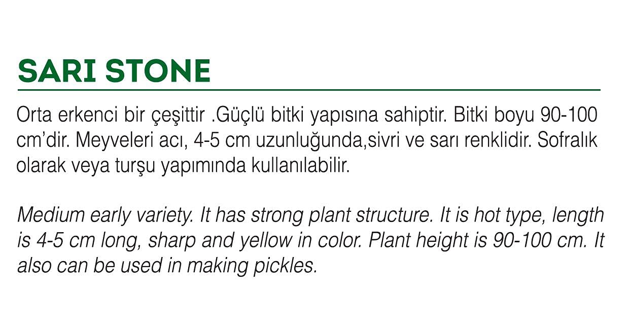 AGRODAL TARIM Ata Tohumu Yerli Turşuluk Acı Biber 500 Ad Tohum